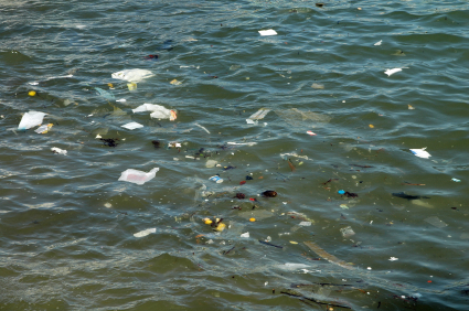 Garbage in the sea