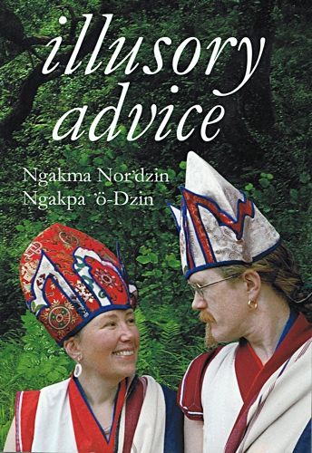 Cover of illusory advice book